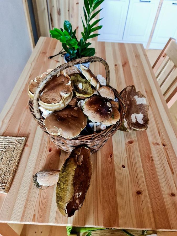 Chata Zorka Opařany Exterior foto